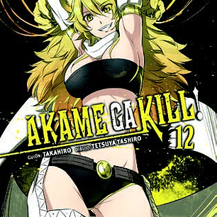 AKAME GA KILL! 12
