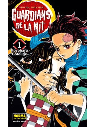 GUARDIANS DE LA NIT 01 (NUEVO PVP) 1