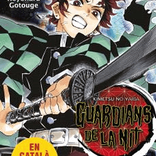 GUARDIANS DE LA NIT 10
