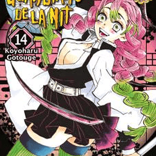 GUARDIANS DE LA NIT 14