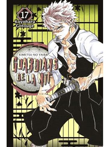 GUARDIANS DE LA NIT 17 1