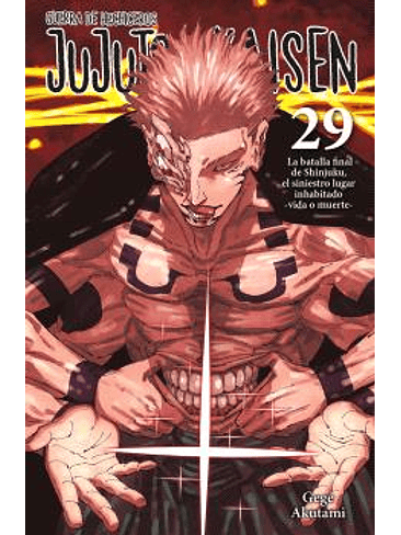 JUJUTSU KAISEN 29 1