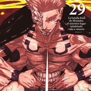 JUJUTSU KAISEN 29