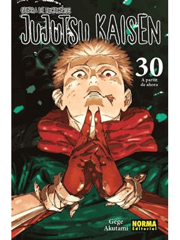 JUJUTSU KAISEN 30 1