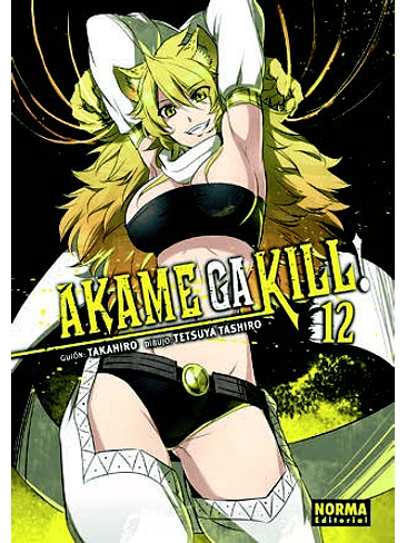 AKAME GA KILL! 12 1