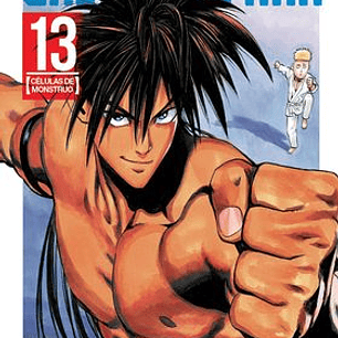 ONE PUNCH-MAN 13 (COMIC)
