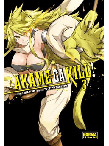 AKAME GA KILL! 03 1