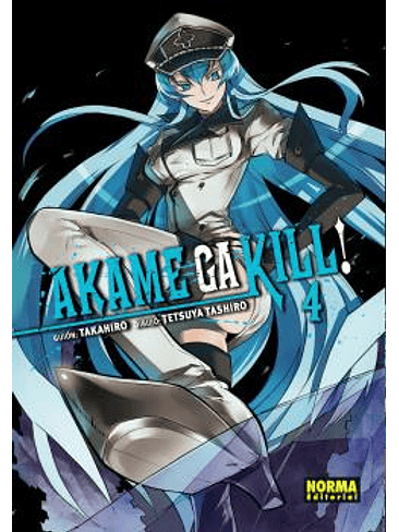 AKAME GA KILL! 04 1