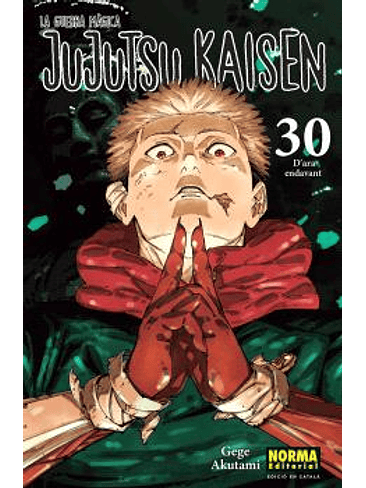 JUJUTSU KAISEN 30 CATALA 1
