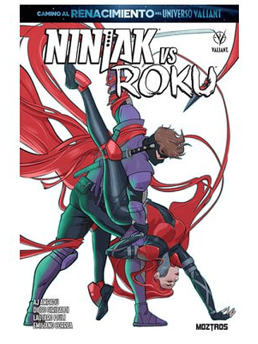 NINJAK VS ROKU 1