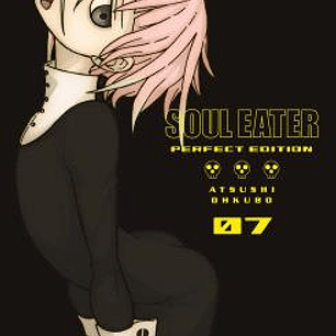 SOUL EATER PERFECT EDITION 07