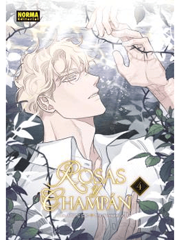 ROSAS Y CHAMPAN 04 1