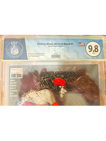 Elektra: Black, White & Blood  #1 1