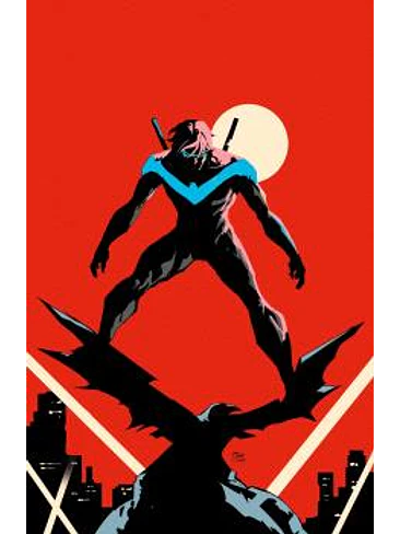 ALL IN NIGHTWING 05 1