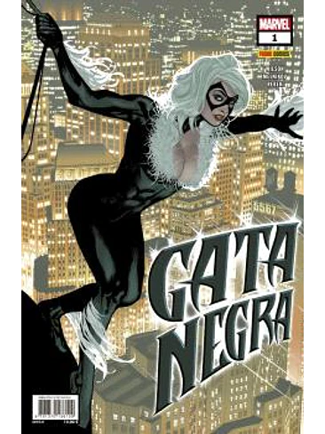 GATA NEGRA 01 1