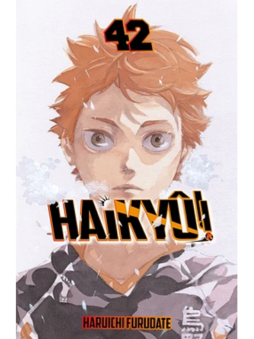 Haikyû!! nº 42/45 1