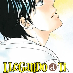 Llegando a ti nº 24/30