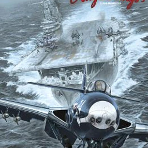 ANGEL WINGS 07. MIG MADNESS