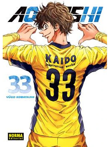 AO ASHI 33 1