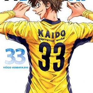 AO ASHI 33