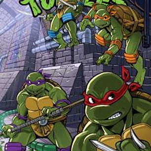 TEENAGE MUTANT NINJA TURTLES : LAS AVENTURAS ANIMADAS - VOL.03