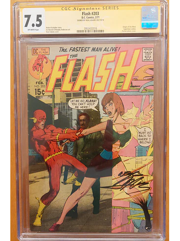 THE FLASH #203 1