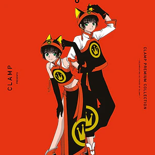 TOKYO BABYLON 6