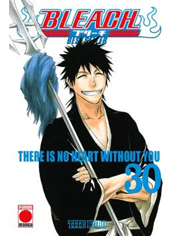 BLEACH BESTSELLER 30 1