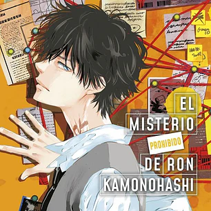 EL MISTERIO PROHIBIDO DE RON KAMONOHASHI 16