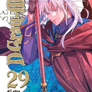 D.GRAY MAN 29 (COMIC)