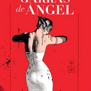 GARRAS DE ANGEL (NUEVA EDICION)