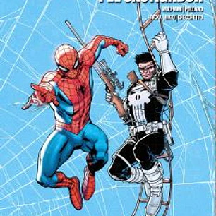 SPIDERMAN TEAM-UP COLLECTION: SPIDERMAN Y EL CASTIGADOR