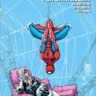 SPIDERMAN TEAM-UP COLLECTION: SPIDERMAN Y LA GATA NEGRA