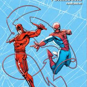 SPIDERMAN TEAM-UP COLLECTION: SPIDERMAN Y DAREDEVIL