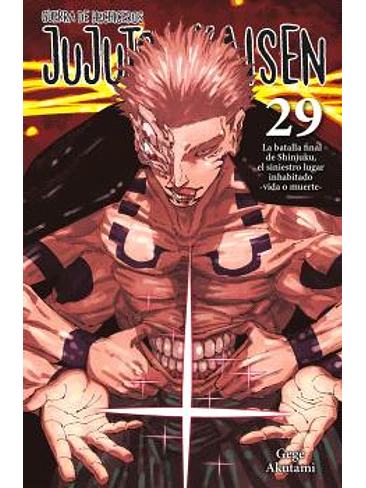 JUJUTSU KAISEN 29 1