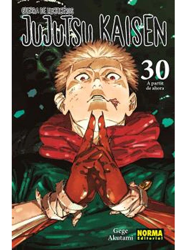 JUJUTSU KAISEN 30 1