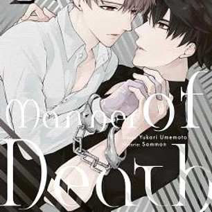 MANNER OF DEATH 02