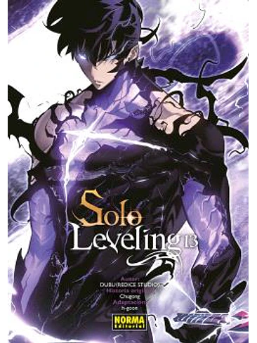 SOLO LEVELING 13 1