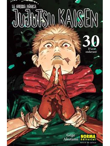 JUJUTSU KAISEN 30 CATALA 1