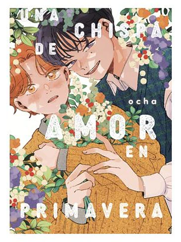 UNA CHISPA DE AMOR EN PRIMAVERA 1