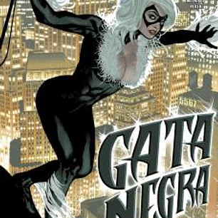 GATA NEGRA 01