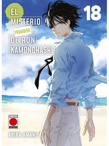 EL MISTERIO PROHIBIDO DE RON KAMONOHASHI 18 1