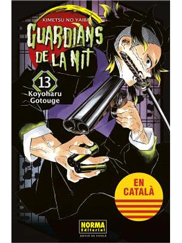 GUARDIANS DE LA NIT 13 1