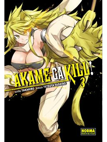 AKAME GA KILL! 03 1