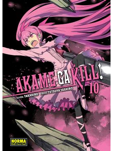 AKAME GA KILL! 10 1