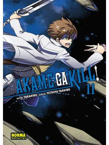 AKAME GA KILL! 11 1