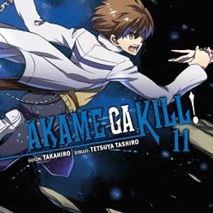 AKAME GA KILL! 11