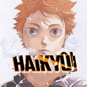 Haikyû!! nº 42/45