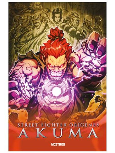 STREET FIGHTER ORIGENES - AKUMA 1