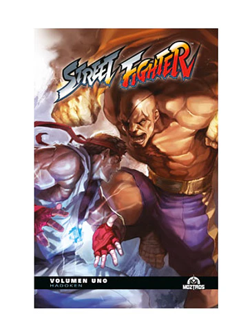 STREET FIGHTER VOL 01 1